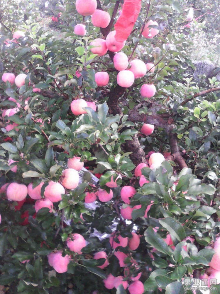 QQ图片20150404125834.jpg